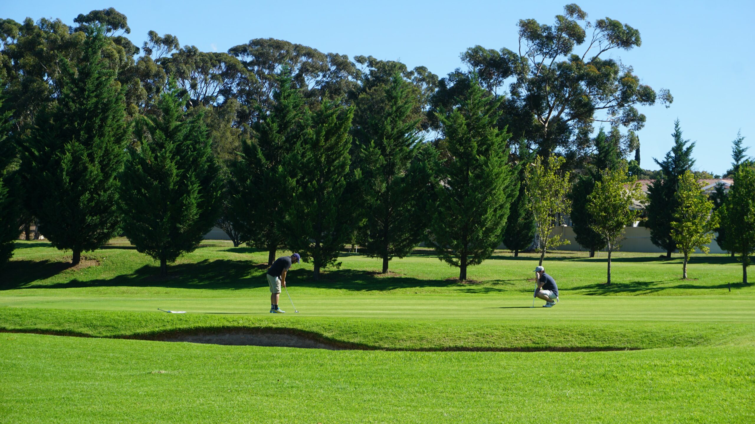 Golfing